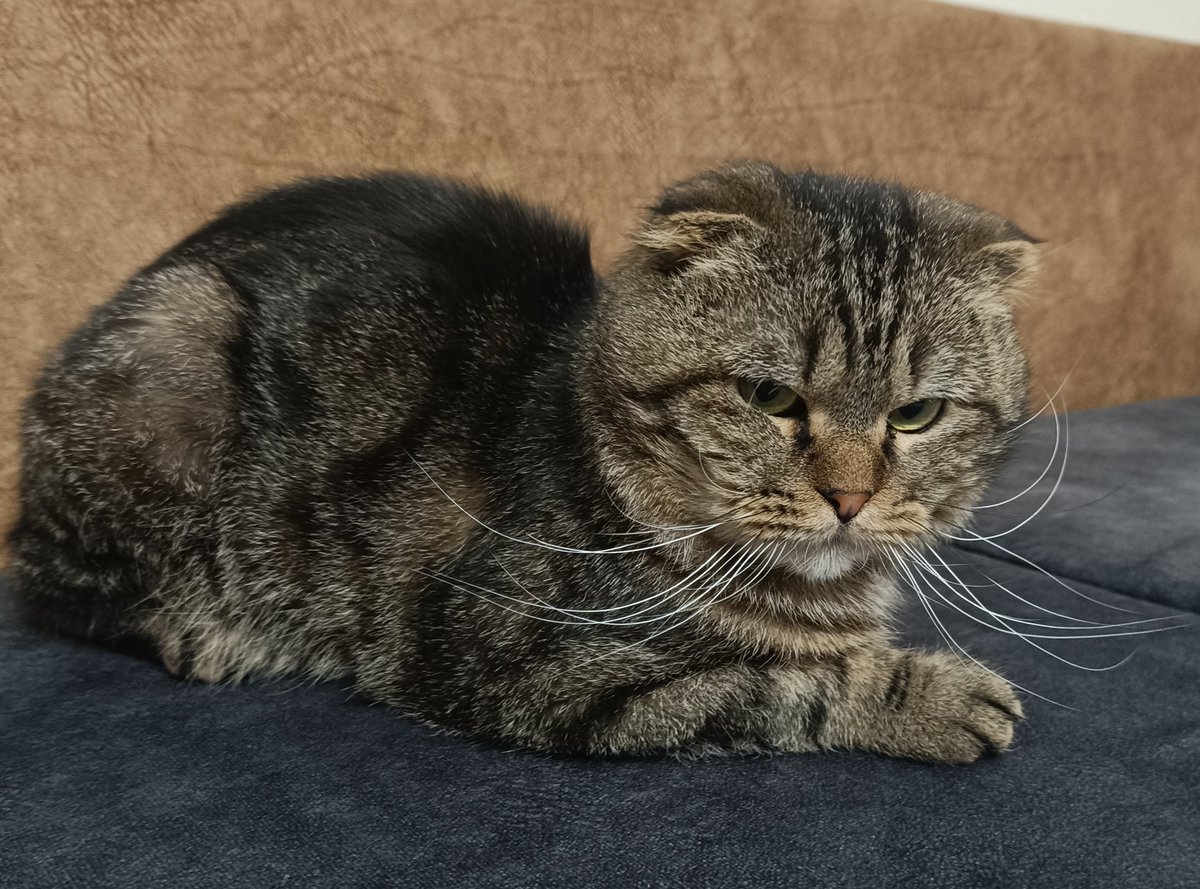 Bu ilan hâlâ aktif kimse yazmadı 🥹