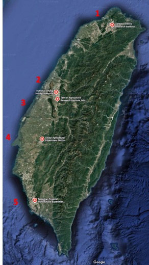 I am looking forward to spending the next month in #Taiwan🇹🇼visiting collaborators in #forestry and tropical agriculture/plant pathology. I look forward to seeing laurel wilt 🍄in its native range and learning how tropical fruit crops are managed in Taiwan. 

I am grateful to the