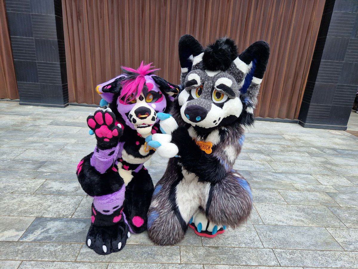 What a amazing memories at the Furizon ✨🙌❤️
Thank you all for the pawesome and amazing time🩵
Cant wait to wish it again next year ^^