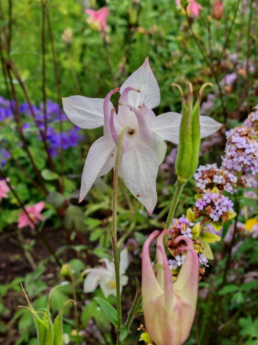 Julie 🏴󠁧󠁢󠁷󠁬󠁳󠁿Elizabeth 🏴󠁧󠁢󠁷󠁬󠁳󠁿 tweet media