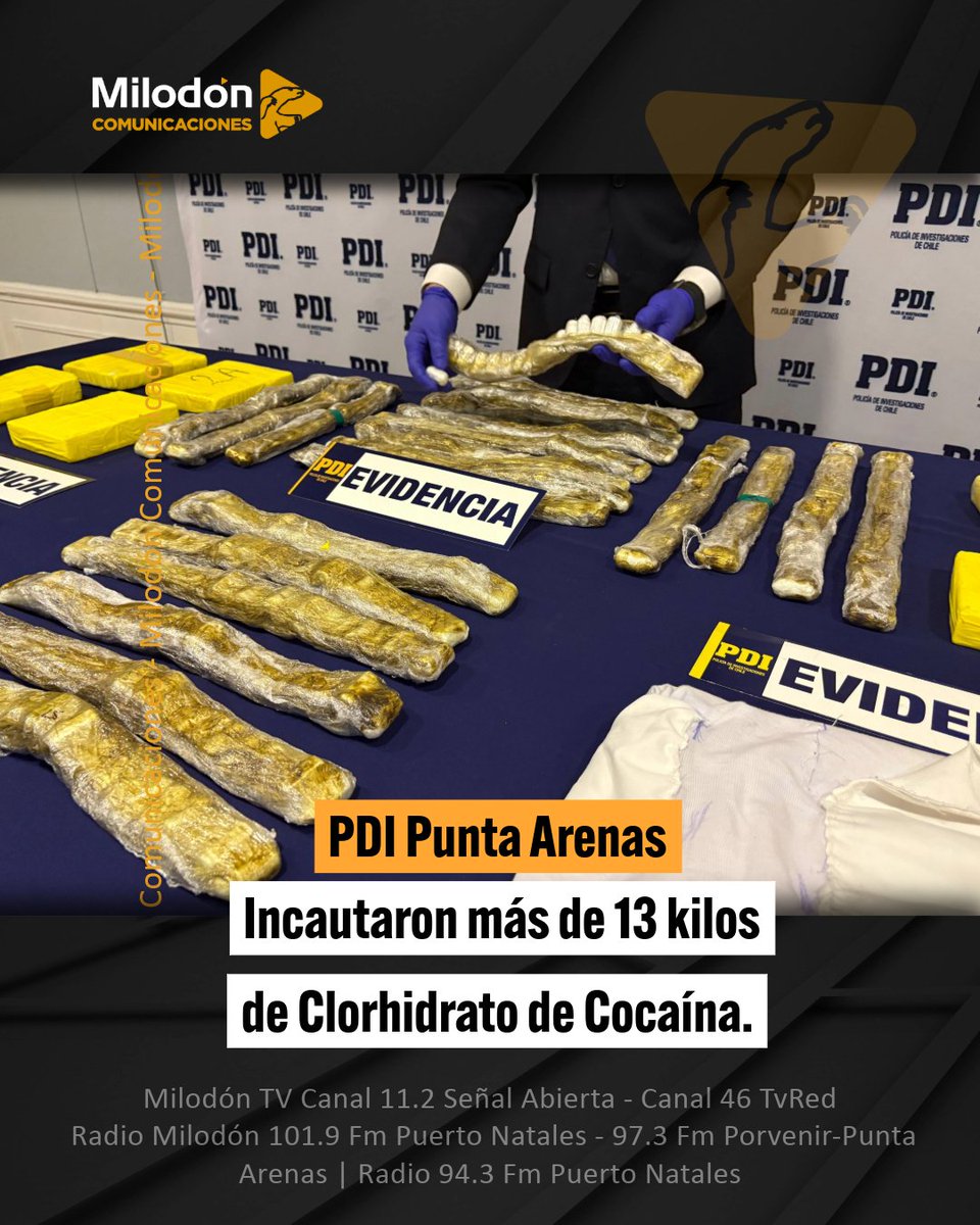 Detectives de la Brigada Antinarcóticos y Contra el Crimen Organizado Punta Arenas de la PDI, junto a la ejemplar canina "Haru", incautaron más de 13 kilos de Clorhidrato de Cocaína. 

⭕ Se sacaron de circulación 13.250 dosis de Clorhidrato de Cocaína.
⭕ El avaluó de la droga
