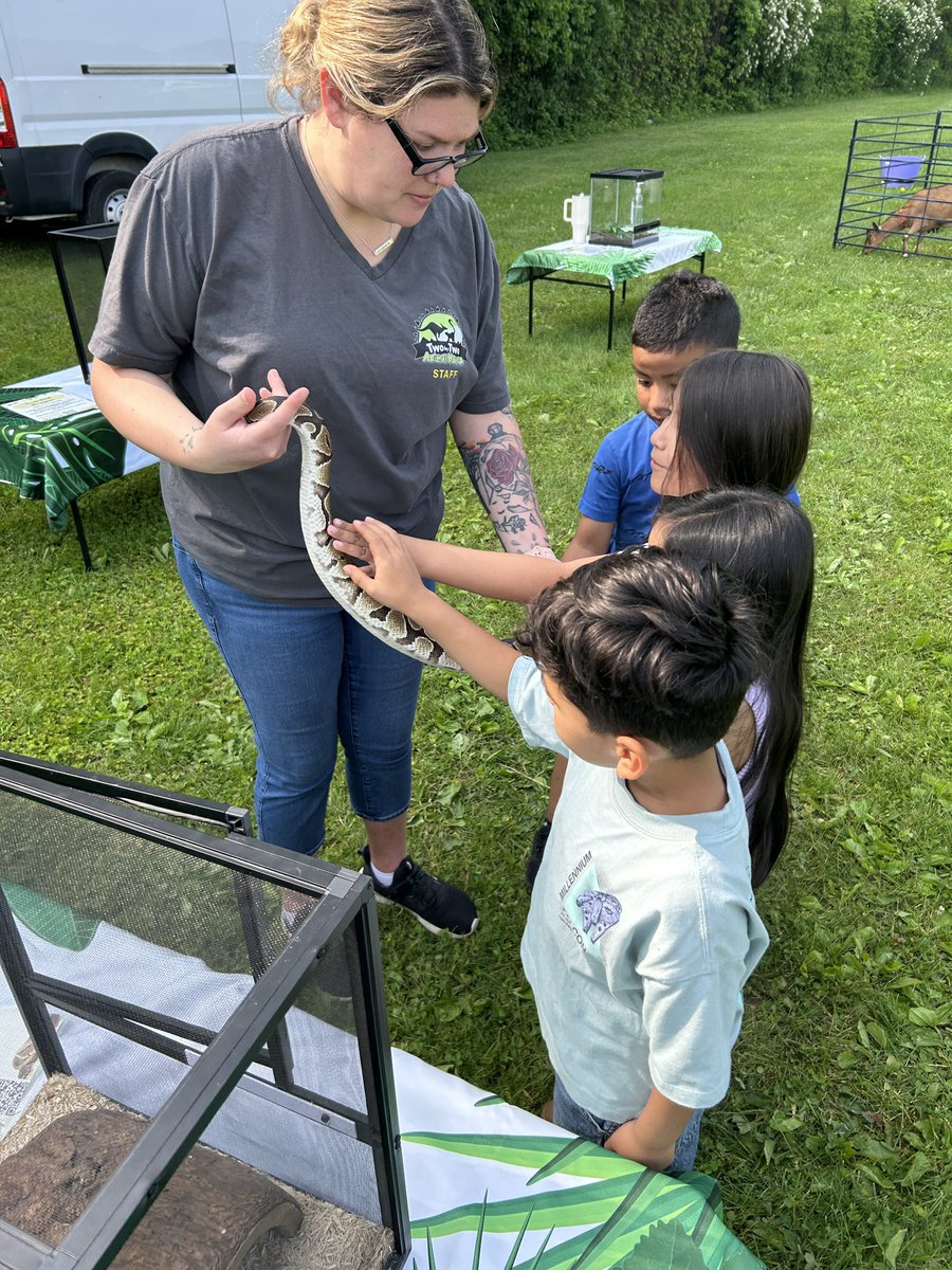 BlessingMahopac's tweet photo. Kinders went on a jungle adventure for Safari Day 🐾, 4th graders stepped back in time for Colonial Day 🕰️, and 5th grade is gearing up for Moving Up Day 🎓! So much fun, learning & celebration this week! 💫 #SafariDay #ColonialDay #MovingUpDay #GoBulldogs @leighgal_LKV https://t.co/uTJQ0nmHnm