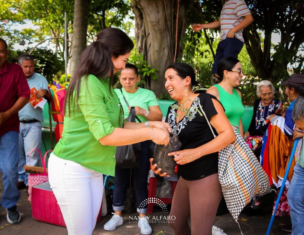 NancyAlfaro__'s tweet photo. On the occasion of World Environment Day, today I had the satisfaction of delivering fruit and ornamental trees to the central park of Ilobasco District. 🌱🌎
I remain committed to caring for our environment and promoting a greener culture for future generations. 💚🌳 https://t.co/Y003KUu8tK