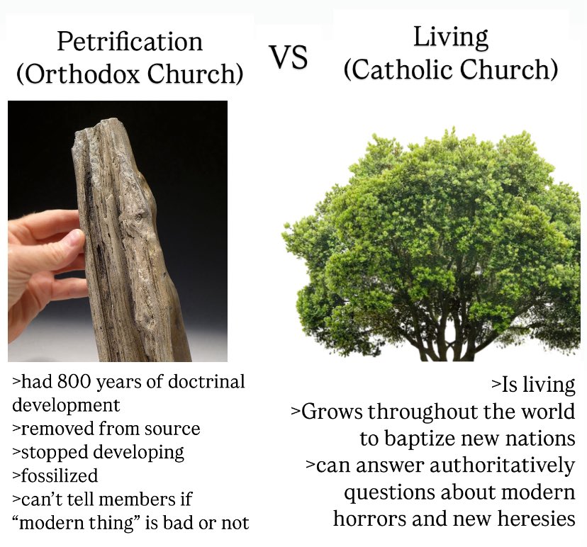 Petrified wood is beautiful, but it ceases to rise to the heavens.