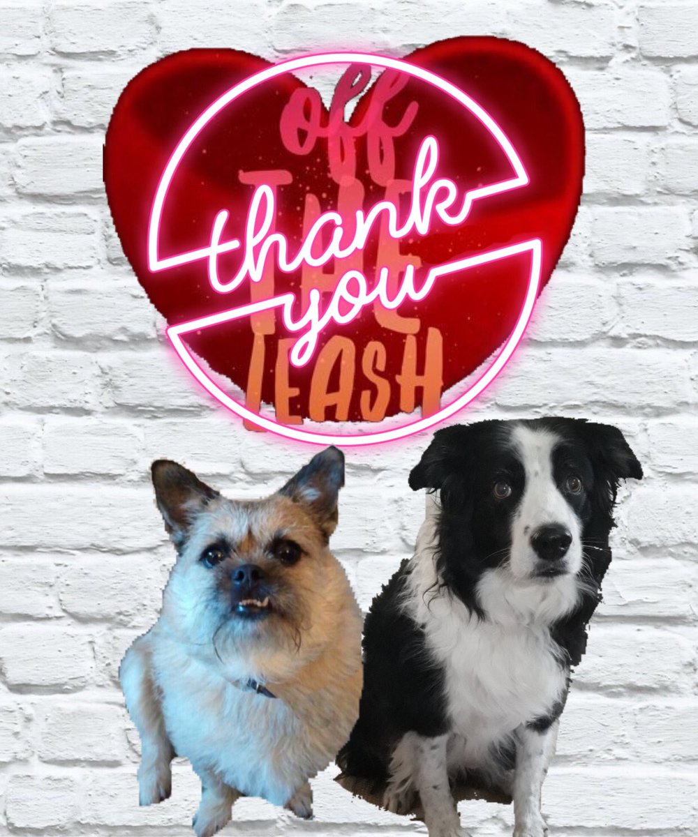 Thankyou all for coming to be part of #OTLFP today
Sorry if I haven't said Hi,it's been a pawsome show but with the uncertainty of limits we have had to reduce our interaction a little so we can tweet throughout the show,You are all very valued&amp;appreciated,thankyou all for coming