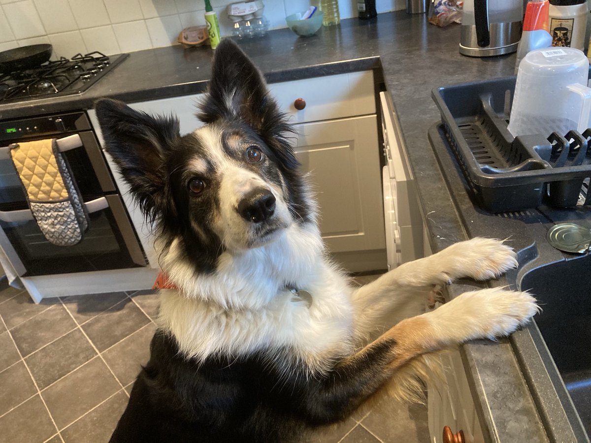 This is when I was helping dad choose the new kitchen