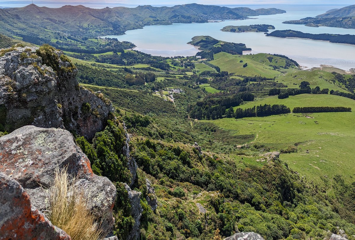 Bill Kilvington 💙 FCODP, FRCA tweet media