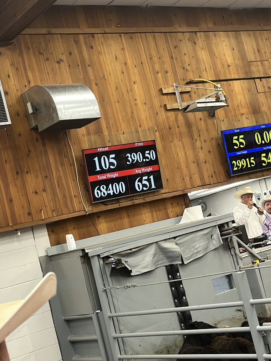 DylanRus's tweet image. 