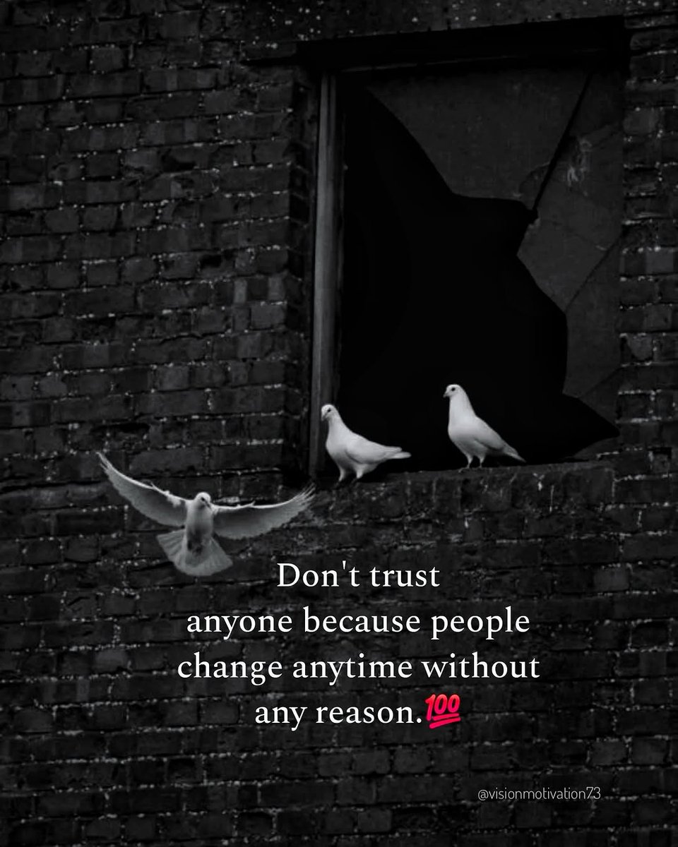 Mind Essentials (@mind_essentials) on Twitter photo 