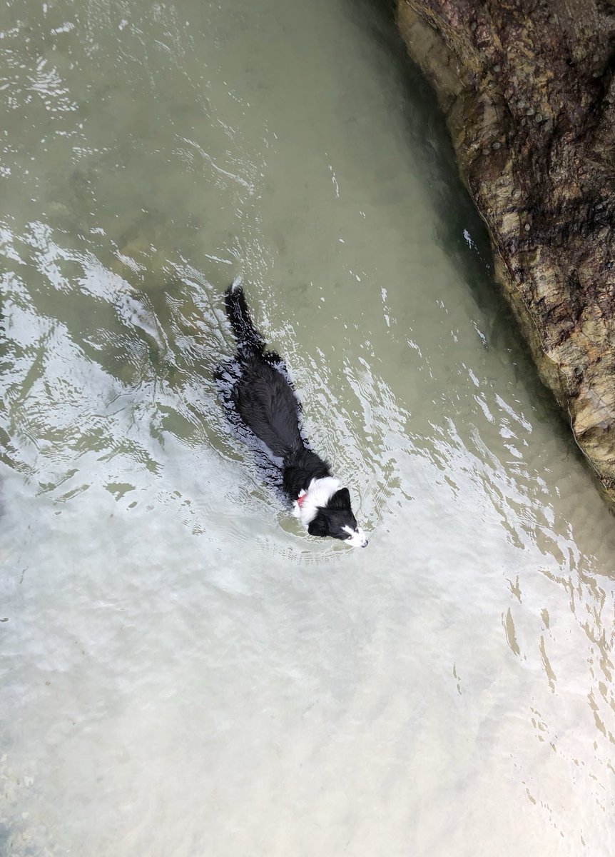 This was that time I did an swim