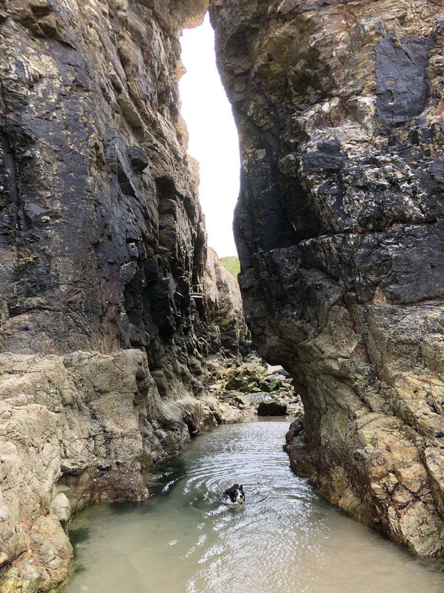 I was a good an swimmer