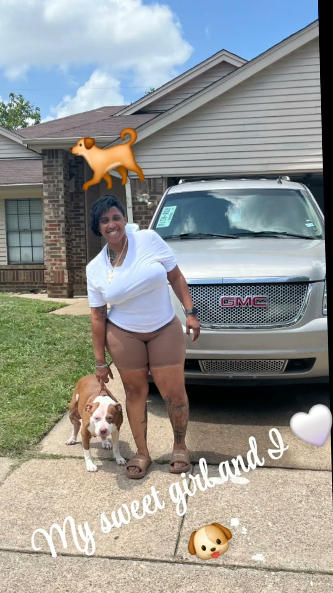 AnnieM1120's tweet photo. 🤍🐕🤍🐕🤍🐕
#dogmama #mansbestfriend #pitbull #dog #dogmom #serviceanimal #mysweetgirl #dogsoftwitter https://t.co/RKLEjrh0GD