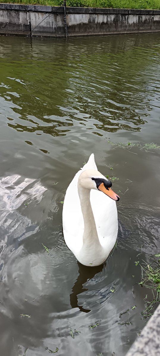 Этот красавчик строил мне сегодня глазки