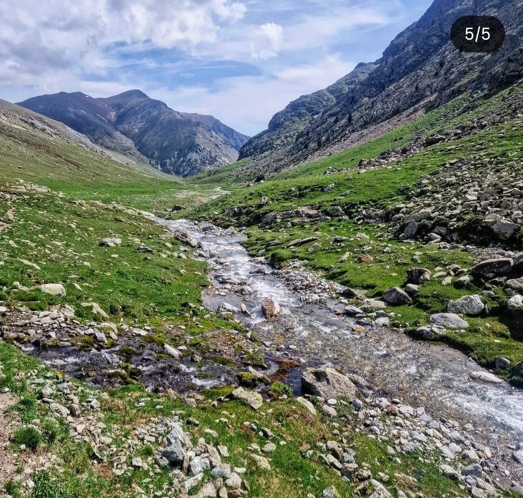 ricardrigall's tweet photo. Del refugi de Coma de Vaca cap al Coll de la Marrana per Coma de Fresers. #comadefresers #bastiments #colldelamarrana #comadevaca #refugicomadevaca #balandrau #queralbs #ripollès #hiking #primavera2025 https://t.co/pCMRKw0nIJ