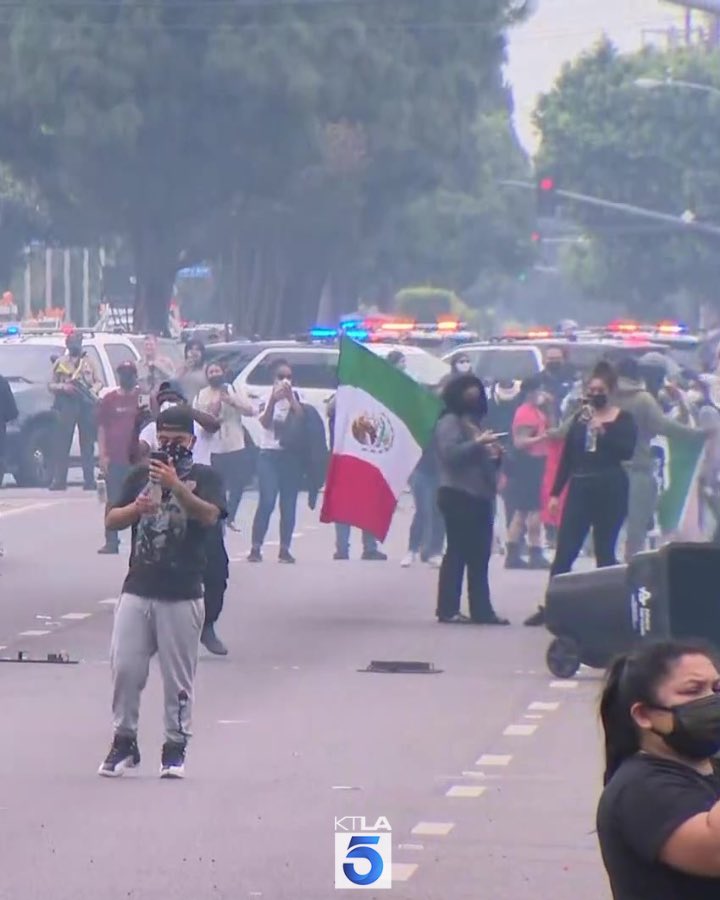 RealSpitfire's tweet image. Get every last one of these fkrs out of our county!