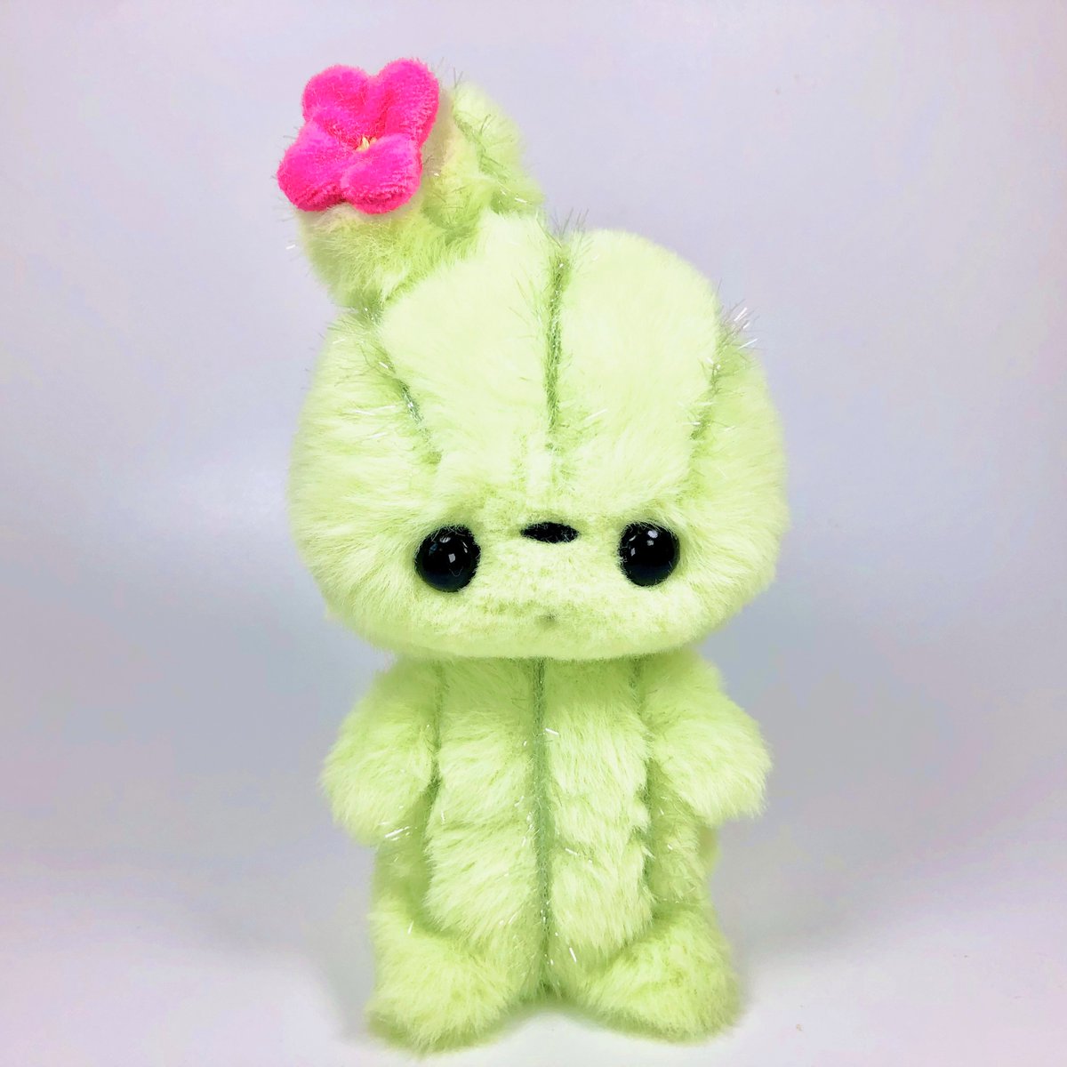 ※送料無料※サボテンちゃんwithピンク花
minne.com/items/43192631

MikkuTownで人気者のサボテンちゃんが再び誕生しました°˖✧◝(⁰▿⁰)◜✧˖°