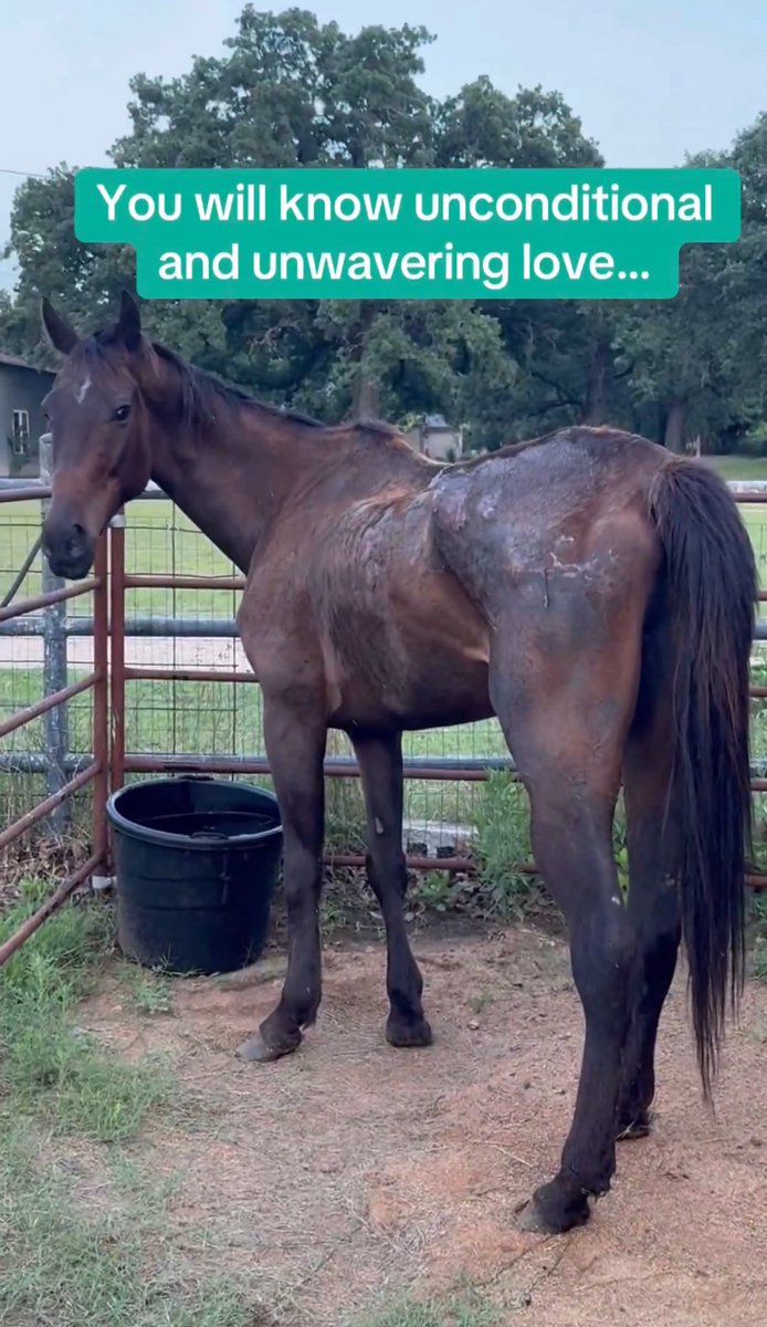 Kate Madden tweet media