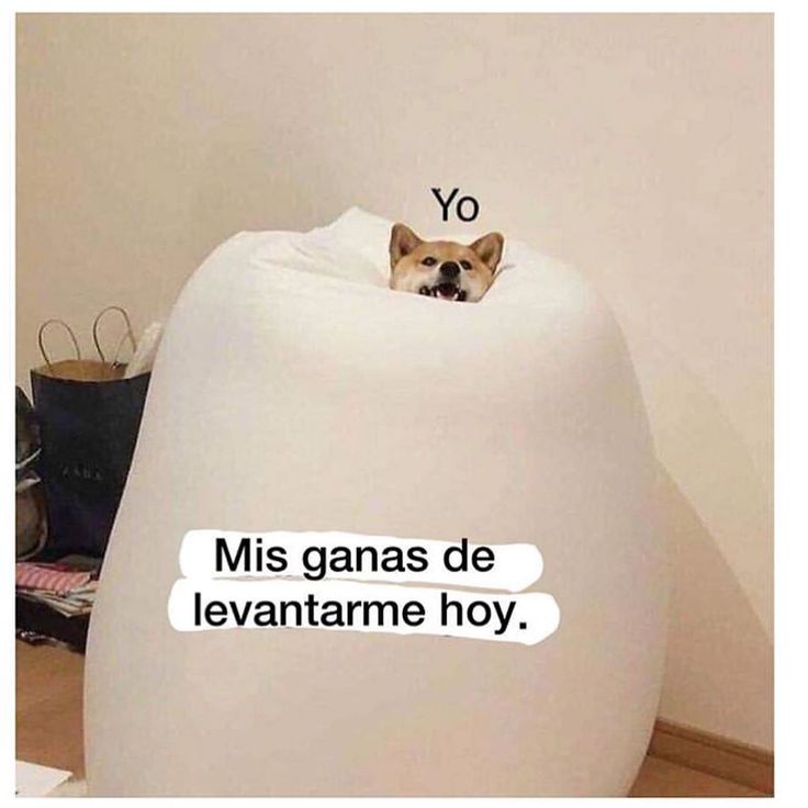 FraseSimple's tweet photo. https://t.co/g2D3cZFZsC