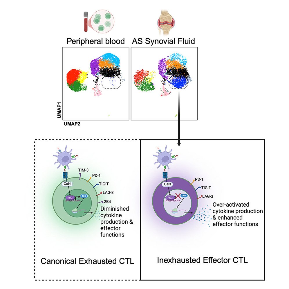 Waggoner Lab tweet media