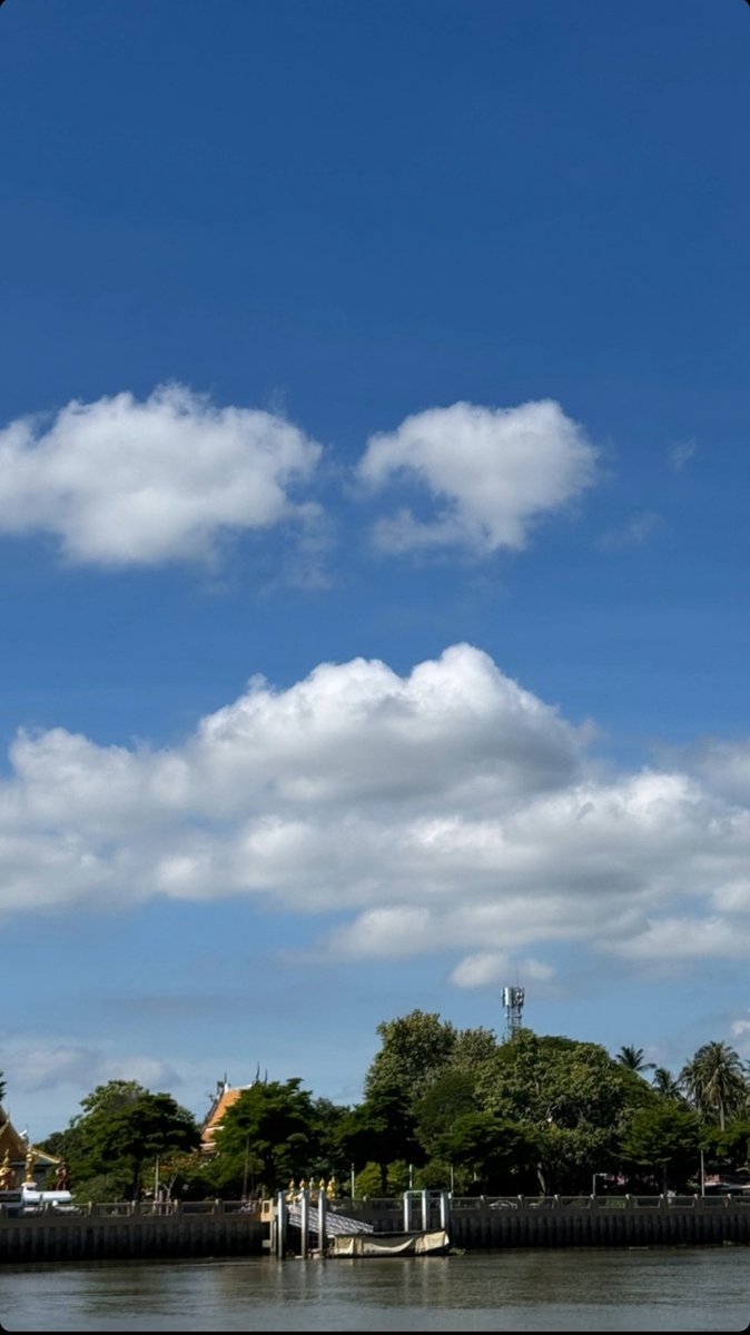 phiphicool's tweet image. aou                                 me

#aou_tnbknr #เหล่าเดซี่ของอู๋