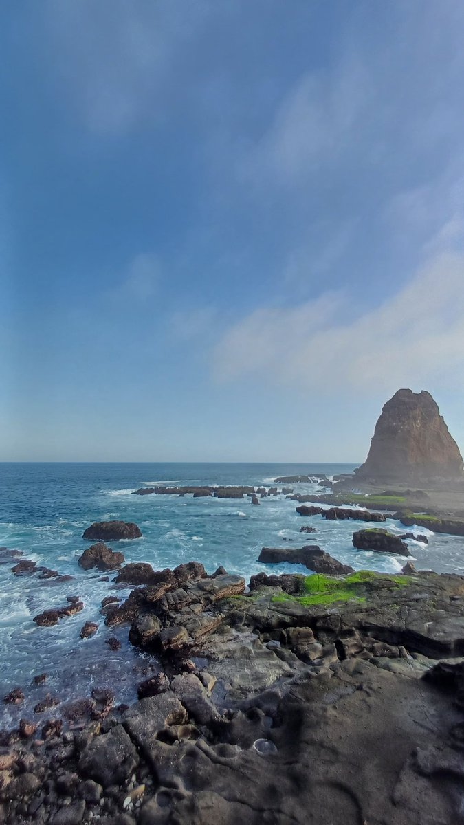 phiphicool's tweet image. aou                                 me

#aou_tnbknr #เหล่าเดซี่ของอู๋