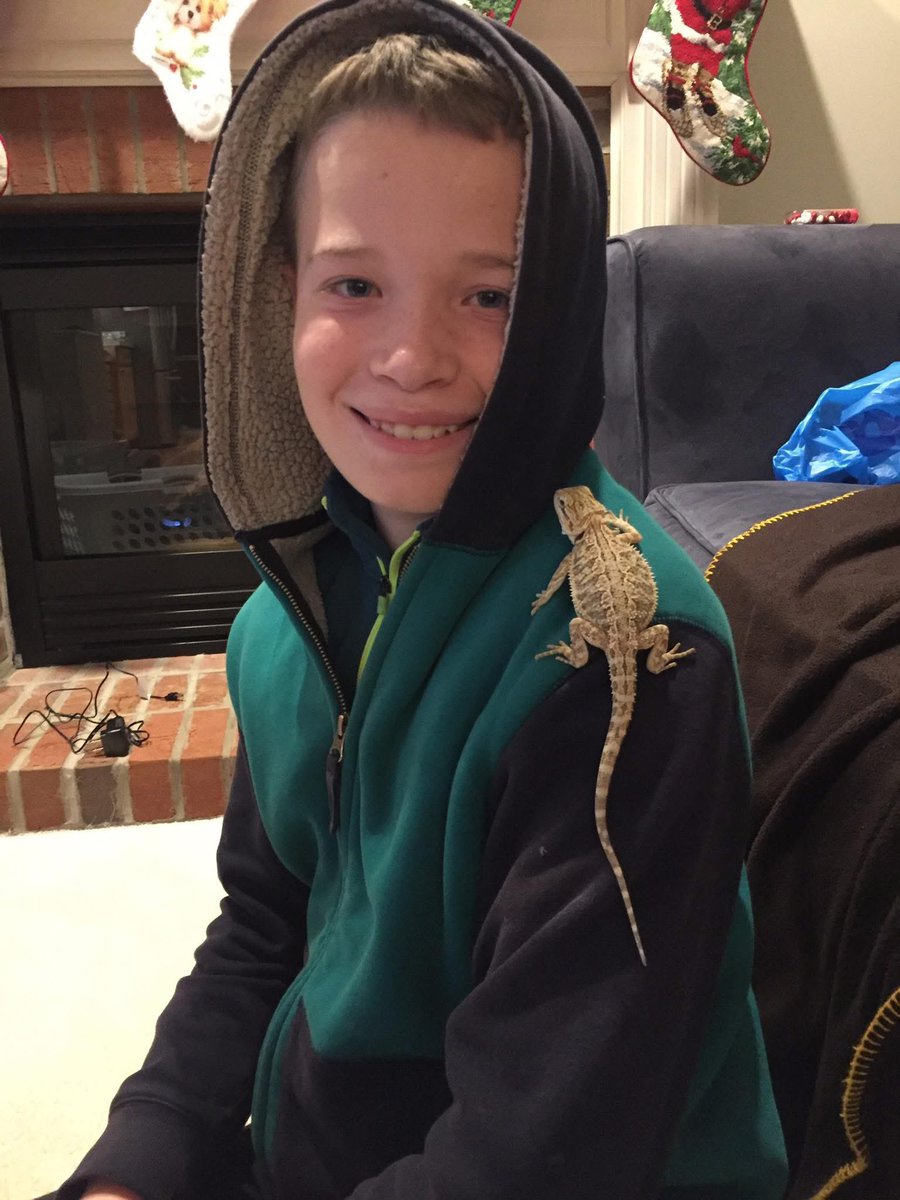 John Gumm (@johngumm) on Twitter photo Had to say goodbye to a beloved family member tonight. 😥 Connor got Spike the Bearded Dragon when he was in the 5th grade. It was a great almost 9 years with this guy. This Beardie outlived all expectations after being diagnosed with multiple aneurisms several years ago. Had to say goodbye to a beloved family member tonight. 😥 Connor got Spike the Bearded Dragon when he was in the 5th grade. It was a great almost 9 years with this guy. This Beardie outlived all expectations after being diagnosed with multiple aneurisms several years ago.