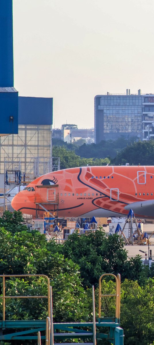 FlyingA350's tweet photo. Hello,Kala😉
＃A380＃Airbus ＃Plane https://t.co/hUI5MQcnCm
