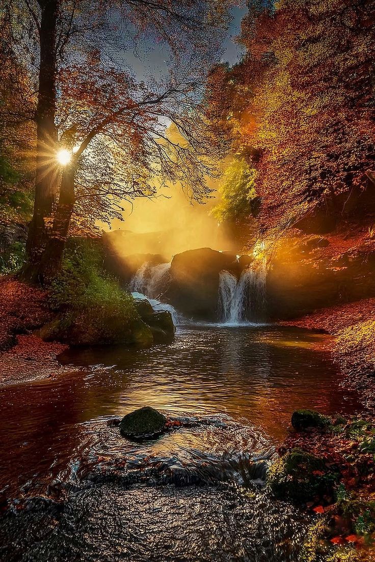 Xenia (@mubeen477) on Twitter photo 