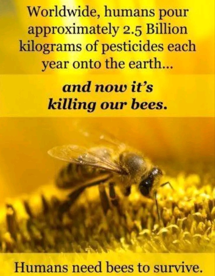 Tangwa Abilu.🌿🌏🌾🍀🍃.SDG's. tweet media