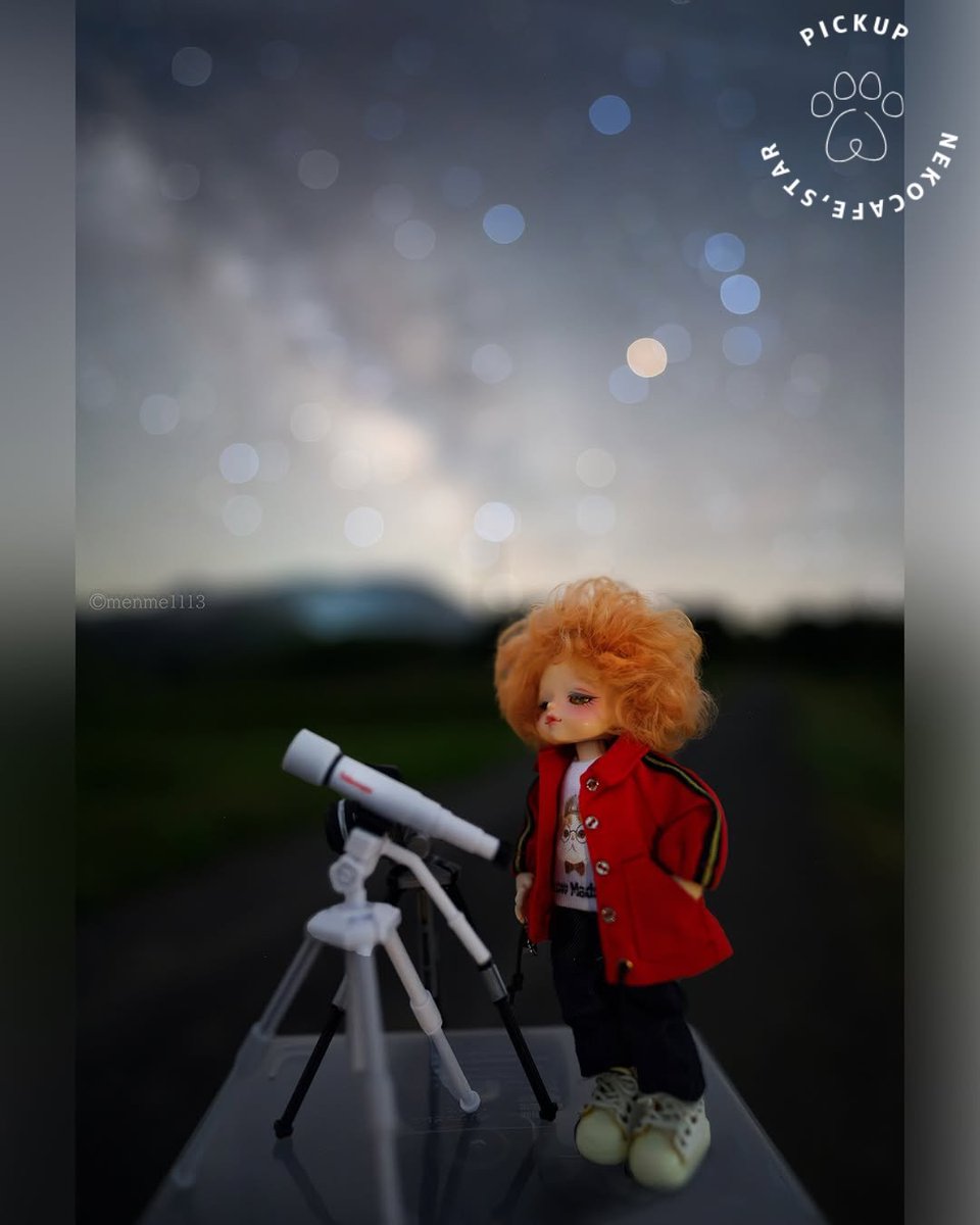 nekocafe_star's tweet image. 6月8日、星空gallery
『注目の1枚』より
📷photographer :@menme1113
instagram.com/p/DKn3mdXhaRl/
#猫のいる星空cafe