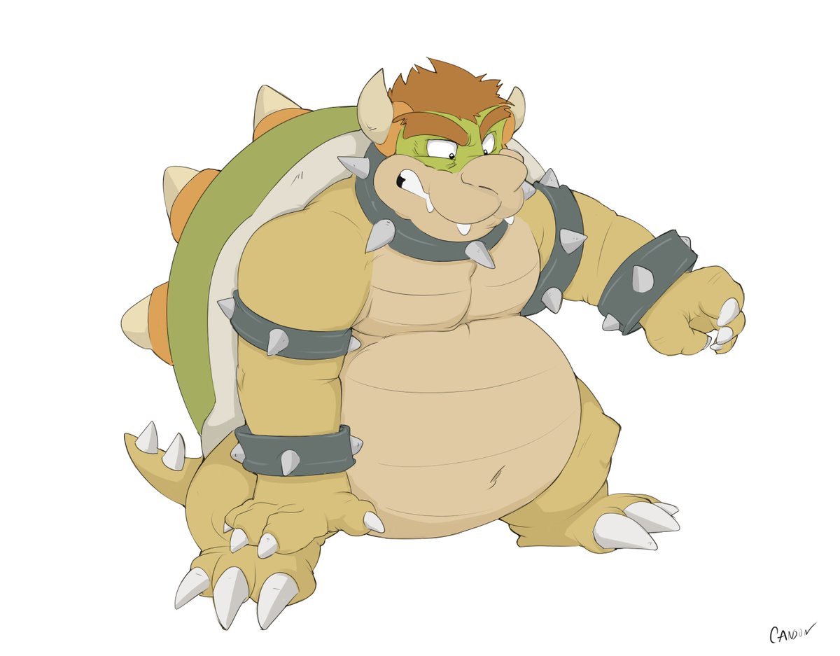 bowser koopa king