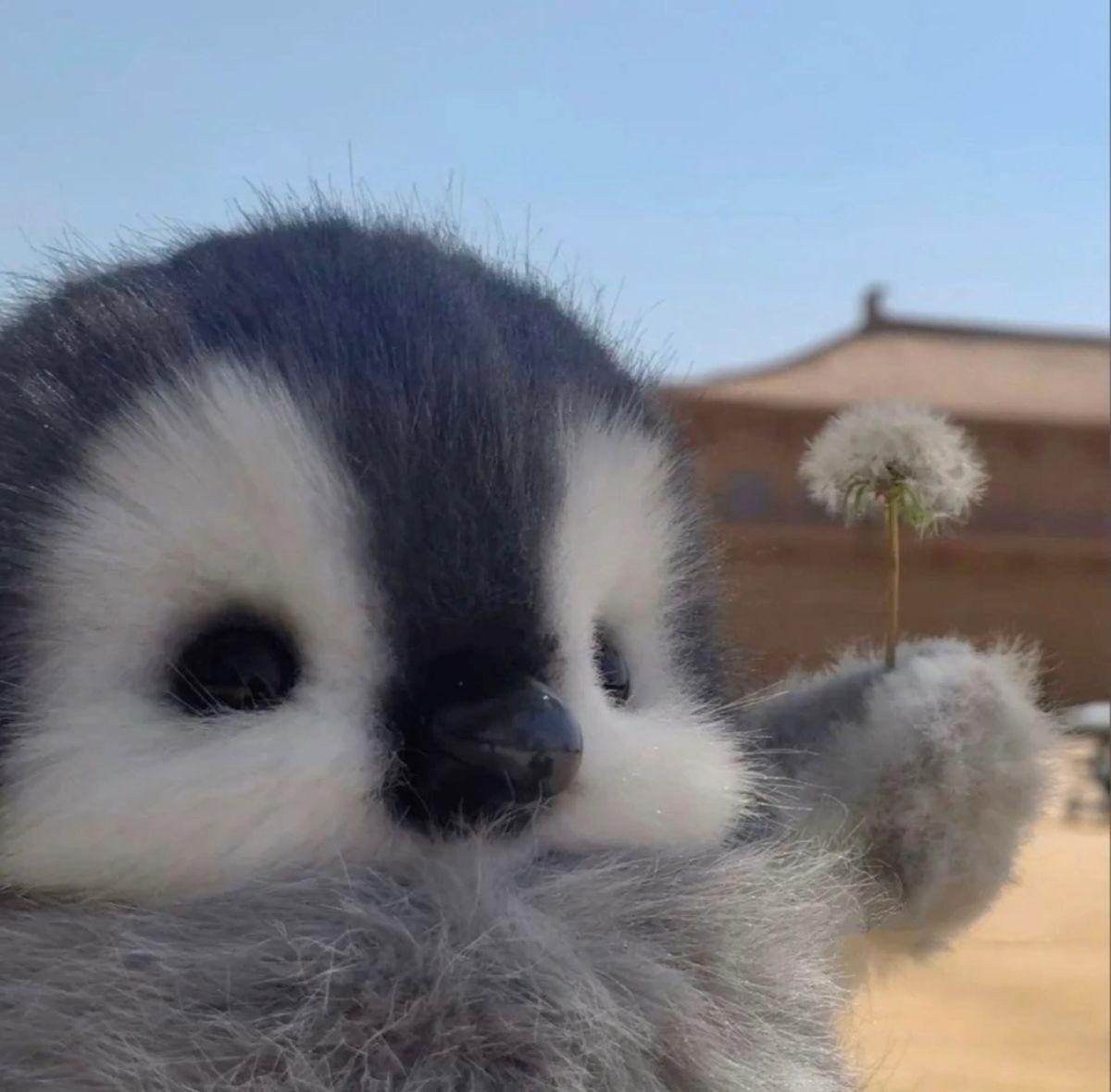 cutedreamvibes's tweet photo. https://t.co/JmCS3QZyZ0