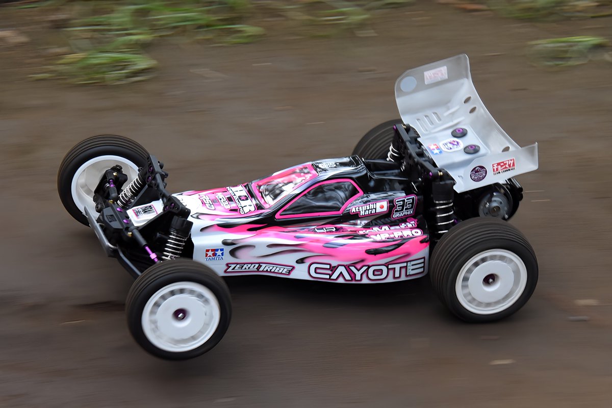 samusunoa's tweet image. いつかのパインビーチ③

#SDTC