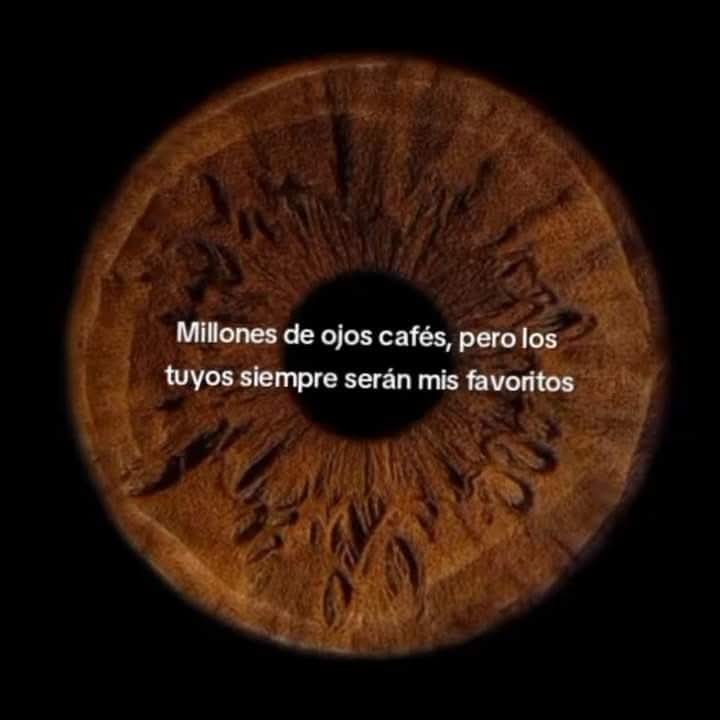 angelo_uf's tweet image. ❤️