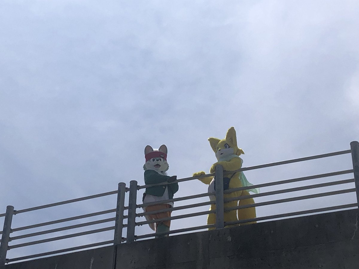 hidetyobi's tweet image. おはようございます。
昨日はガッツリもふもふ(^◇^
マリアおばちゃんと松下慶紀君のコラボは貴重だと思うぜよ。
良い骨休めになりやした