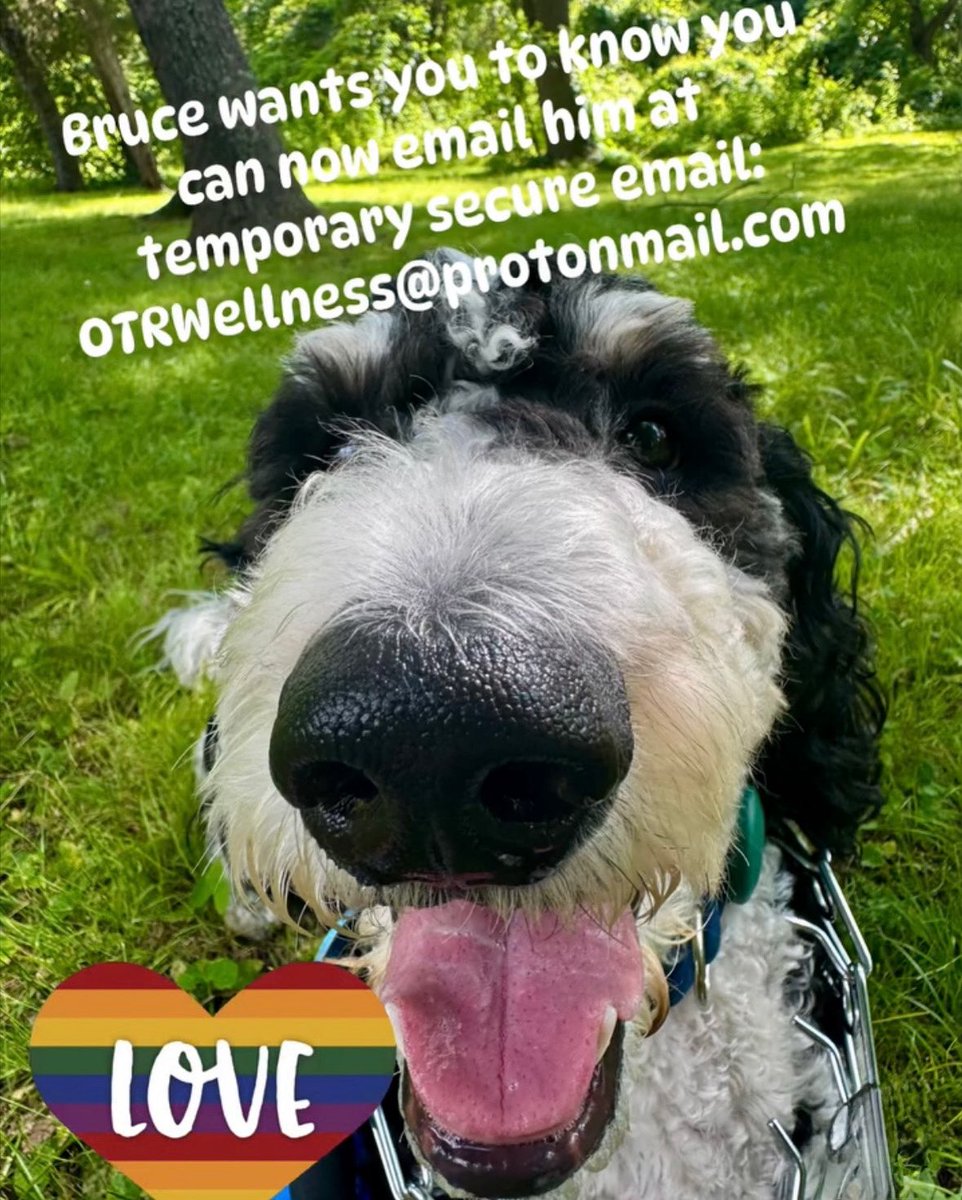 OTRLLC_DC_VA's tweet image. 🚨PSA🚨 Due to Google still holding our business account hostage we have implemented a secure new email for general inqueries to reach us. It will work through our website as well.
Email: OTRWellness@protonmail.com
Call us if you need us!
#googlesuite #Google #therapy