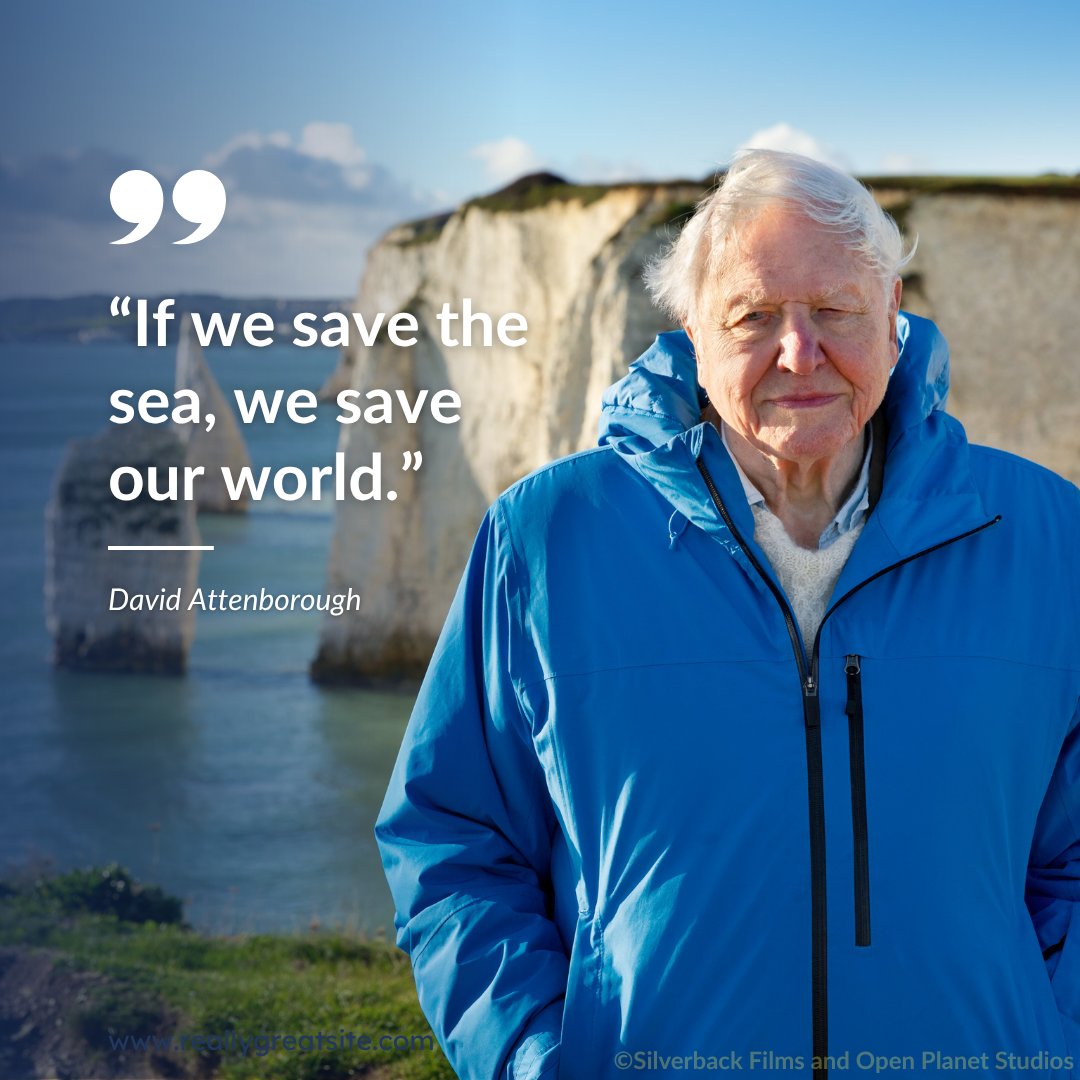 A powerful reminder from David Attenborough: 'If we save the sea, we save our world