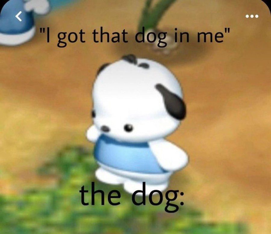out of context dogs (@contextdogs) on Twitter photo 
