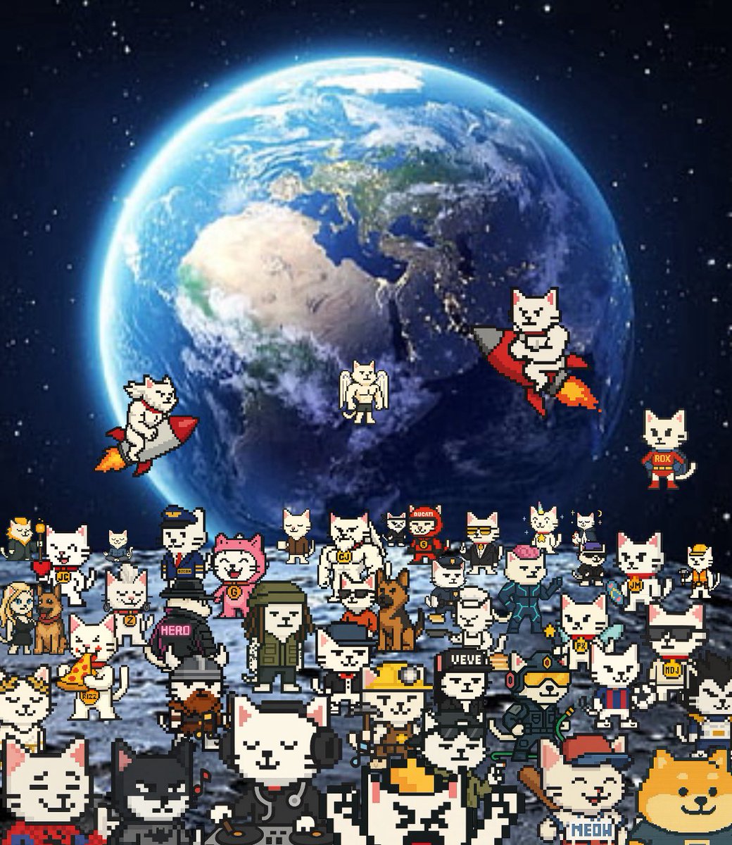 jaythecoolcat2's tweet photo. @shiro on the moon 🌙 🚀 https://t.co/KdXyZqCSEb