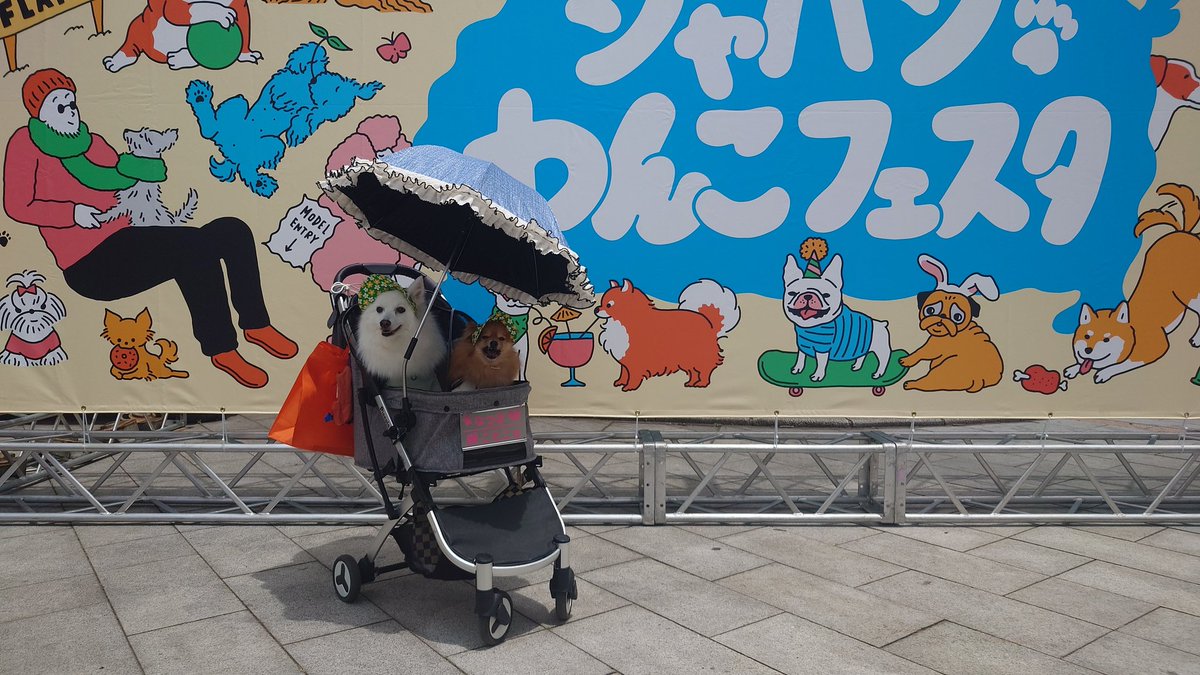 elvefa's tweet photo. 昨日のわんこフェスタ行って、バギーに装着する日傘買ったよ。
たっぷりの保冷剤と扇風機取り付ければ短時間なら夏場お出掛け出来そう。 https://t.co/a0VJ7KdGeR