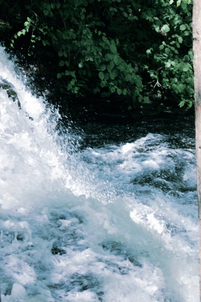 Writing...
  Is breaking the dams
    of flooded emotions 
       into poetry 

#10wordspoet #writing 
#poetry #prompt #poem
#NaturePhotography