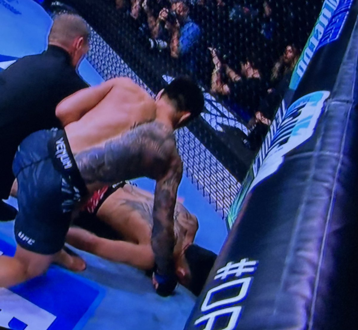 Face down ass up 😮‍💨 #UFC316