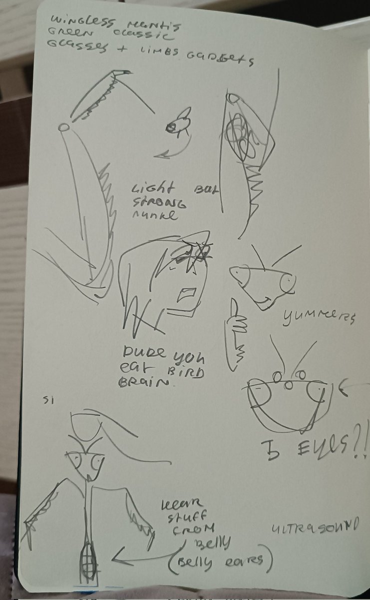 One guy asked me to humanize mantis once, but when I learned more about them... Those guys are murder machines, that's no human that's a fucking robot dude