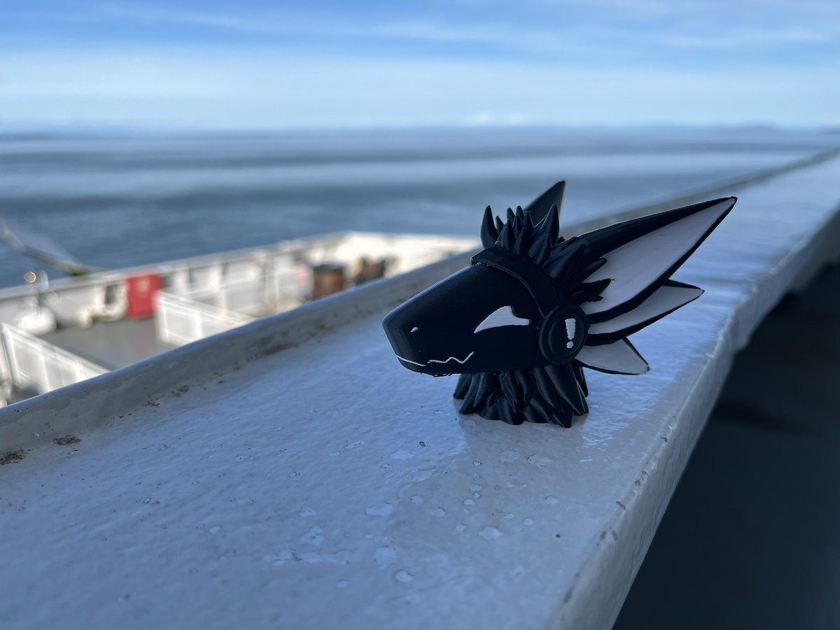 The obvious thing to do with a 3D printer