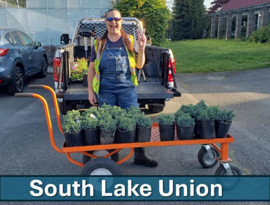 Seattle Parks (@seattleparks) on Twitter photo Just call us Summer Santa! Our Jefferson Park Greenhouse is dispersing summer annuals across the City! 🌼🌷🌺
#SeattleShines
#Summer
#SeattleSummer
#ParkProud Just call us Summer Santa! Our Jefferson Park Greenhouse is dispersing summer annuals across the City! 🌼🌷🌺
#SeattleShines
#Summer
#SeattleSummer
#ParkProud