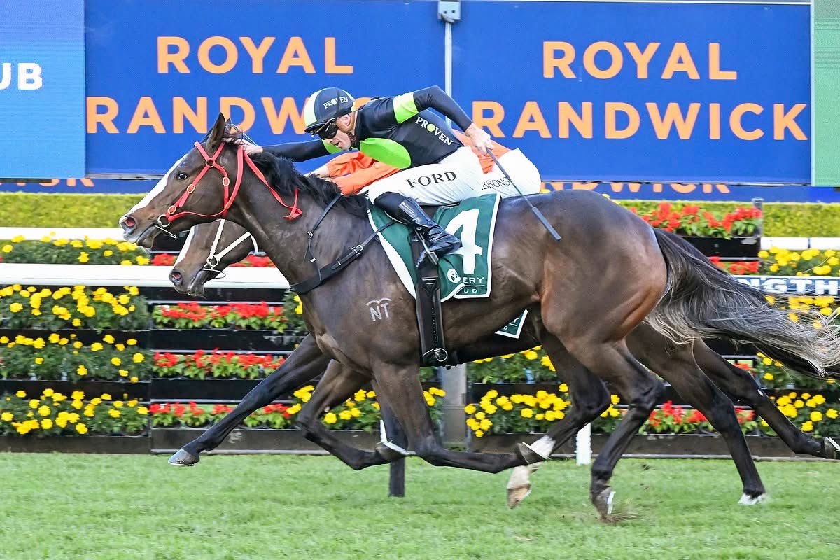 DPR Horsemanship tweet media