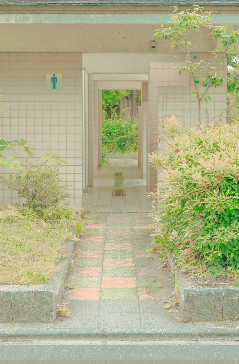 ずっと欲しかったカメラを購入した📷