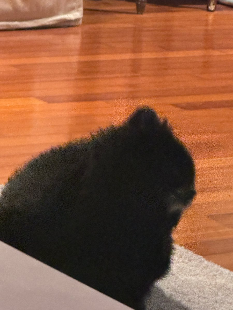 🌼💭 250607 [10:29PM KST]

“ㅎㅎ”