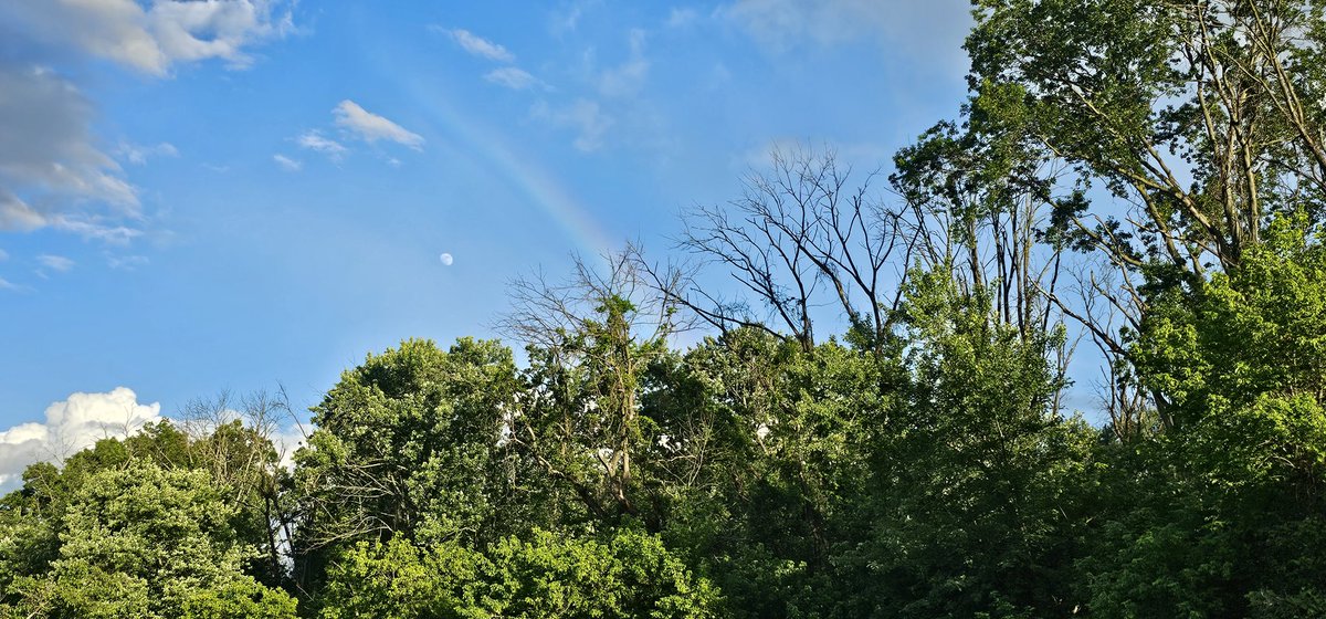 patrickoyulu's tweet photo. Rainbow, Hyena Cubs, and 15,000 Steps to Glory.

Today at #JohnsonPark, the skies pulled one of their usual stunts - a post-rain drama. The kind where clouds gossip, birds pause mid-chirp, and out of nowhere, a rainbow stretches across the heavens like it's showing off for Instagram. Somewhere in the mist, nature whispered, “Let there be color!” And boom - there it was. A ribbon in the sky. Not for Stevie Wonder, but for us walkers dodging goose poop and chasing glory.

Now, in some African cultures, a rainbow is said to appear when a hyena is giving birth. Yup, a hyena - nature’s laugh track - pushing out a giggling cub. 

Whether that’s myth or metaphor, I’m taking it as divine confirmation: something wild and wonderful is being born. In my case, it's called discipline.

Because while the rainbow glowed, I kept moving. 15,000 steps, baby! That’s not just a stroll. That’s a relationship with the ground. That’s “we’ve seen things together” mileage. That’s your knees texting your brain, “You sure about this?”

But it’s more than a fitness flex. It’s behavior change in real time. The kind your future self will high-five you for. So here’s your call to action:

Next time it rains, don’t sulk -wait for the rainbow. And when it comes, walk toward it. Not for the pot of gold. But for your heart rate. Your mood. Your back fat. Your future grandkids. And maybe… just maybe… for the hyena cub cheering you on.

Now lace up. Walk on. And if anyone asks why you’re smiling at the sky, tell them you’ve just been blessed by a laughing hyena and a rainbow of gains. 
👟🐾 #UgandanInJersey