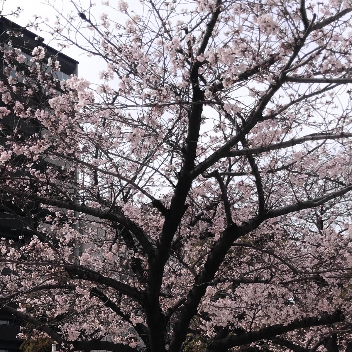 E06NA's tweet photo. https://t.co/iUzC3Ov1Yd